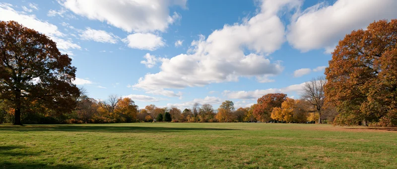 Wide panoramic view of an open park meadow in autumn with colorful trees and blue sky