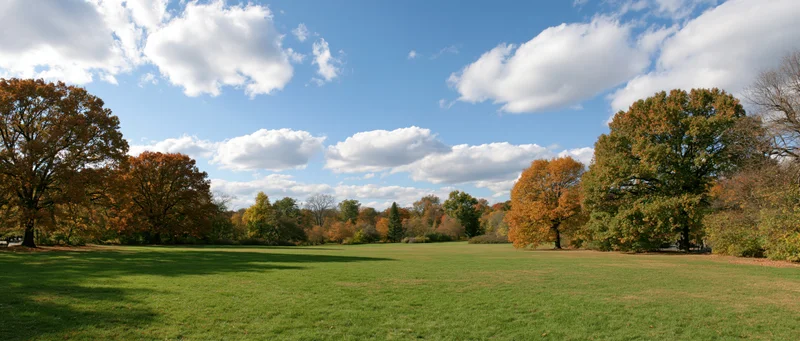 Wide panoramic view of an open park meadow with autumn trees and blue sky