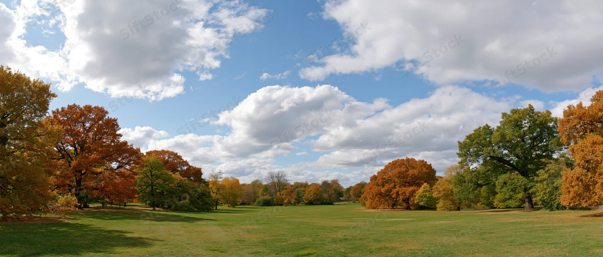 Wide panoramic view of an open park meadow with autumn trees under a partly cloudy sky