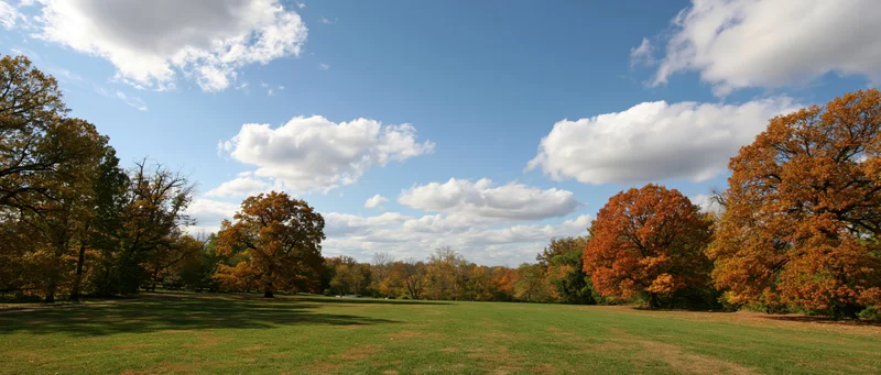 Wide panoramic view of an open park meadow with autumn trees and blue sky