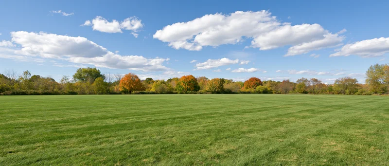 Wide panoramic view of a green lawn in a public park with autumn trees under a blue sky with white clouds