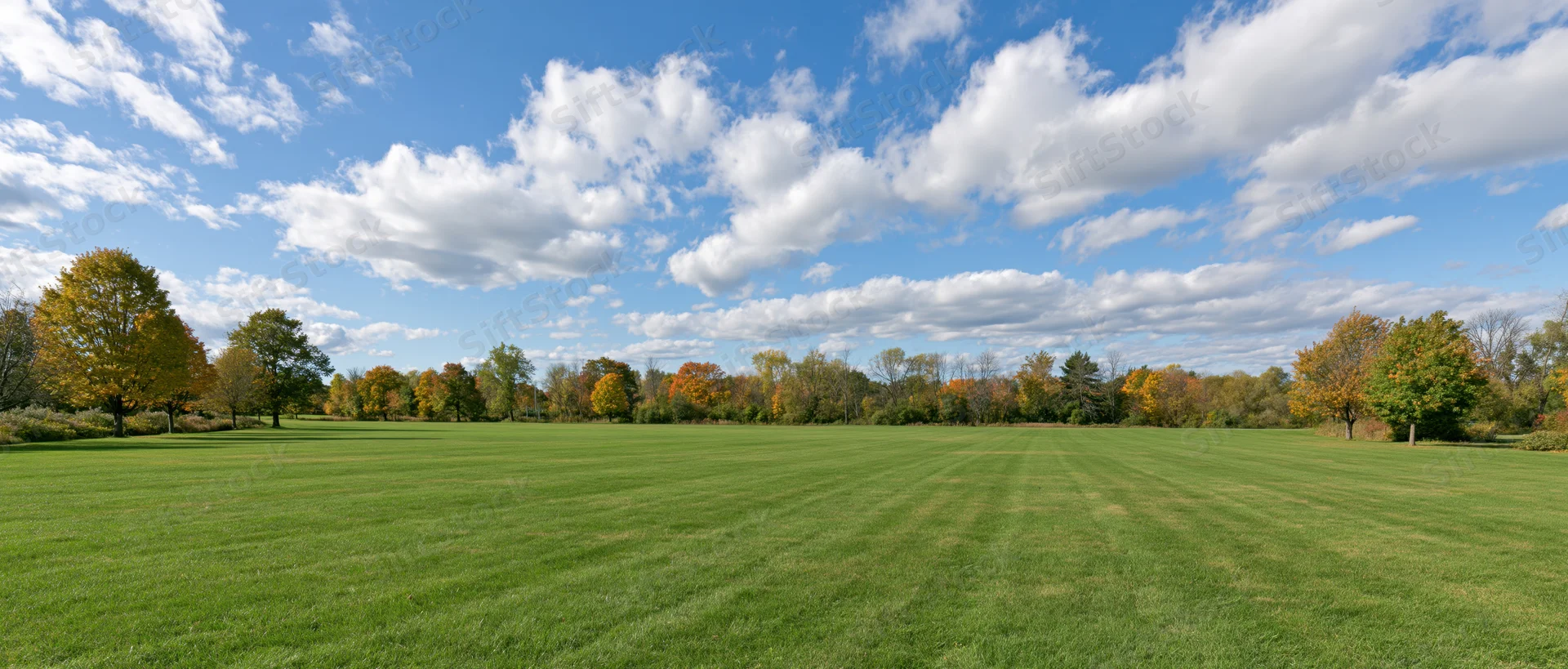 Wide panoramic view of a mowed green lawn in a public park bordered by autumn trees under a blue sky with white clouds