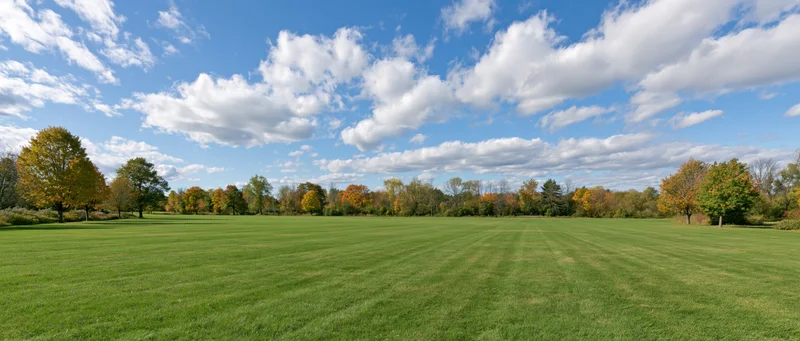 Wide panoramic view of a mowed green lawn in a public park bordered by autumn trees under a blue sky with white clouds