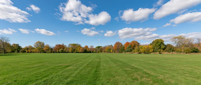 Wide panoramic view of a green lawn in a public park bordered by autumn trees under a blue sky with scattered clouds