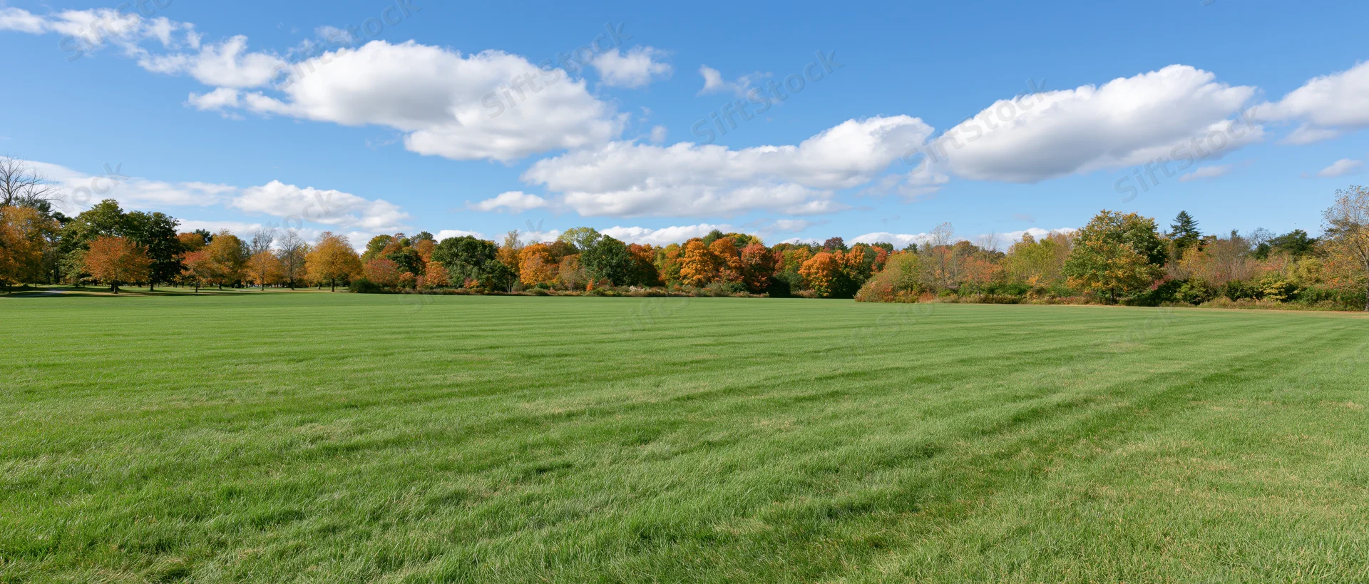 Wide panoramic view of a mowed green lawn in a public park bordered by autumn-colored trees under a blue sky with scattered clouds