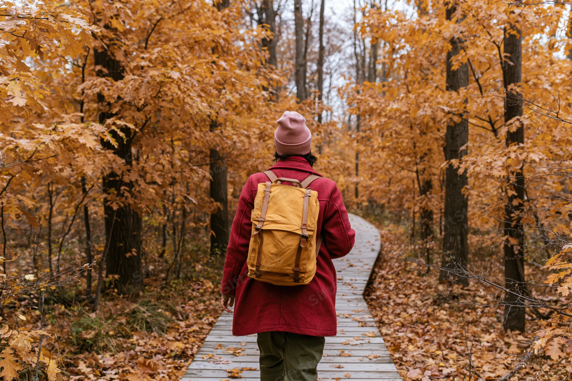 Woman with backpack walking along wooden boardwalk through autumn forest