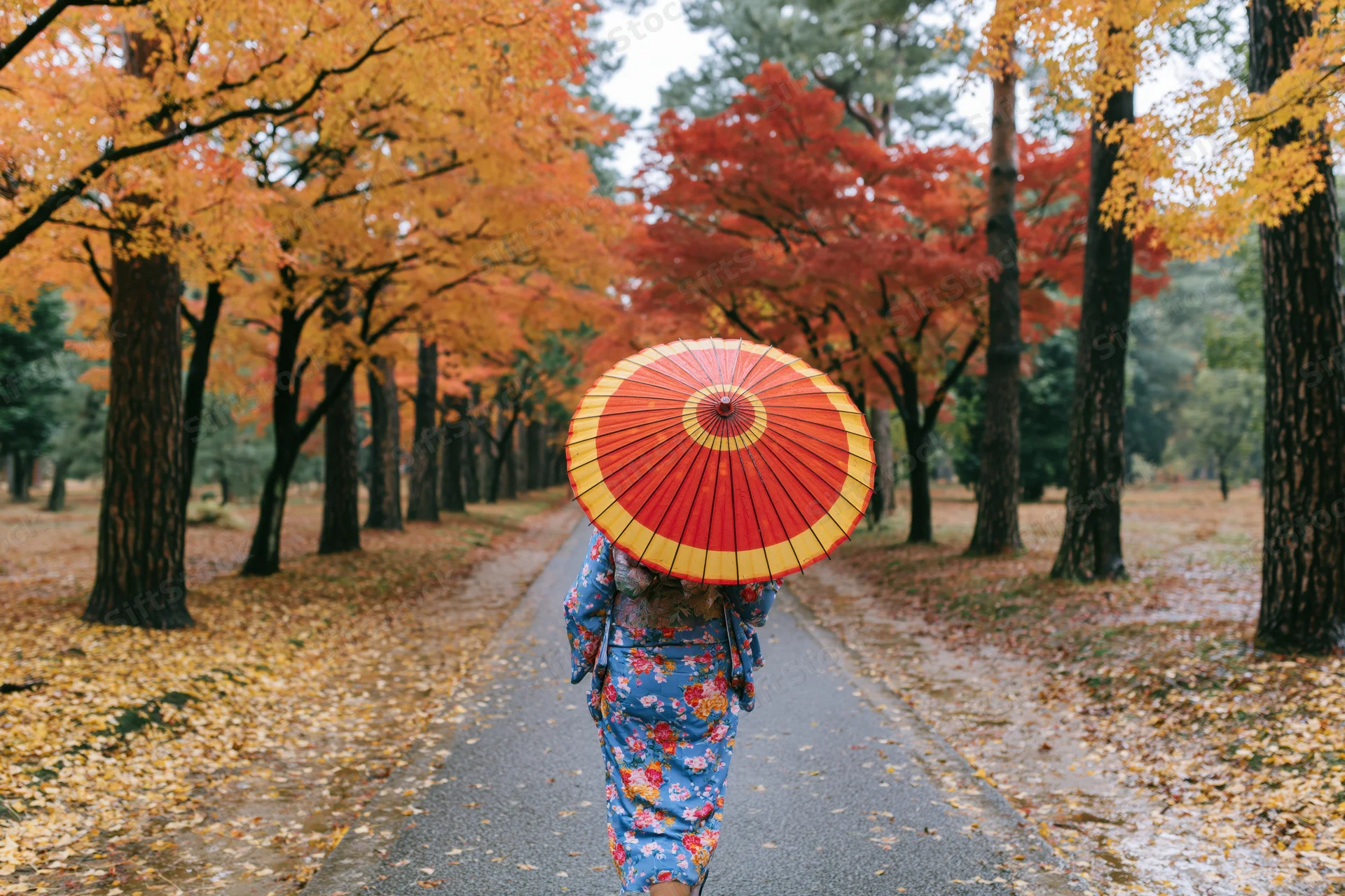 Woman in blue floral kimono walking away on autumn path lined with colorful trees