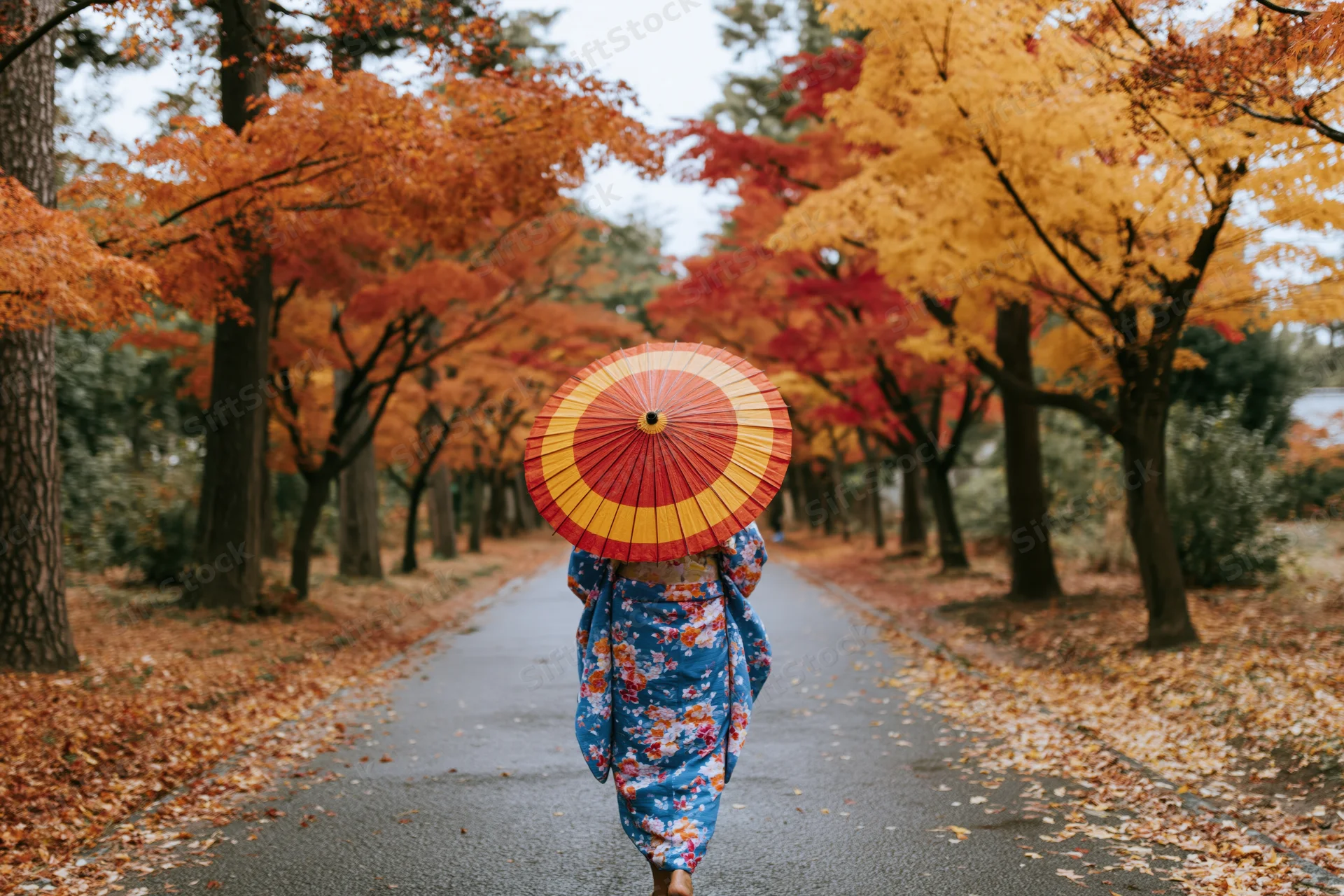 Woman in blue floral kimono walking away on autumn pathway lined with colorful trees