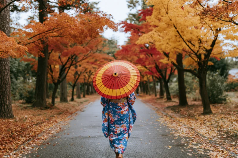 Woman in blue floral kimono walking away on autumn pathway lined with colorful trees