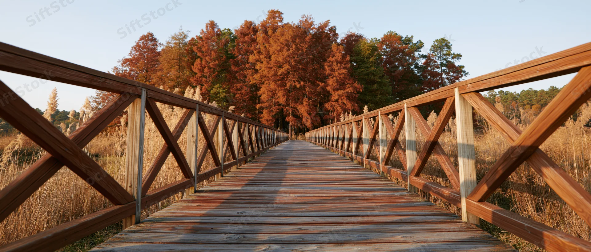 Wooden boardwalk with cross-brace railings stretching toward autumn trees in a natural wetland setting