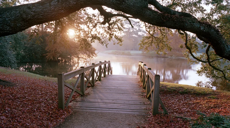 Wooden footbridge crossing calm pond in autumn park surrounded by trees and fallen leaves at sunset