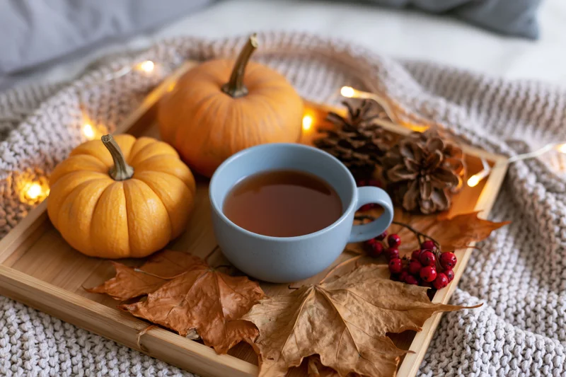 Wooden tray with pumpkins, tea, leaves and pinecones on a knitted blanket