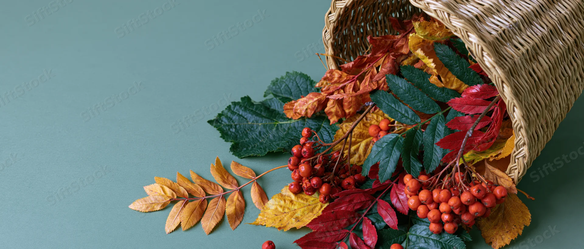 Woven basket tipped over spilling colorful autumn leaves and red berries on teal surface