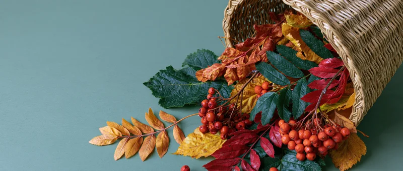 Woven basket tipped over spilling colorful autumn leaves and red berries on teal surface