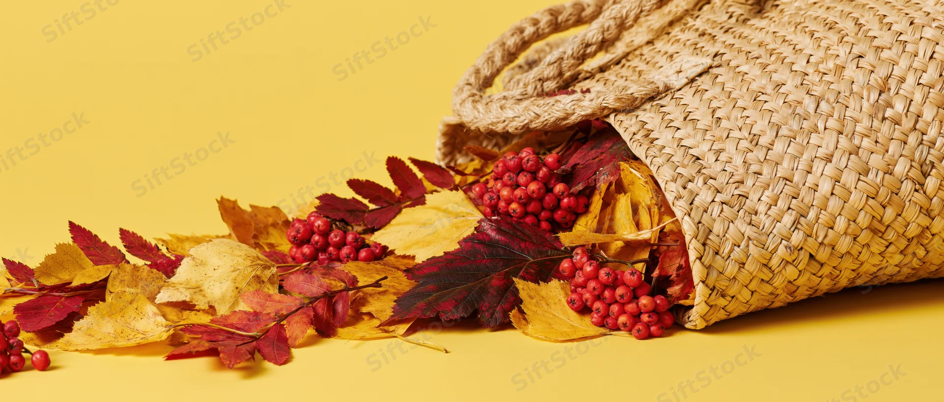 Woven straw tote bag tipped on its side spilling autumn leaves and red berries onto a yellow surface