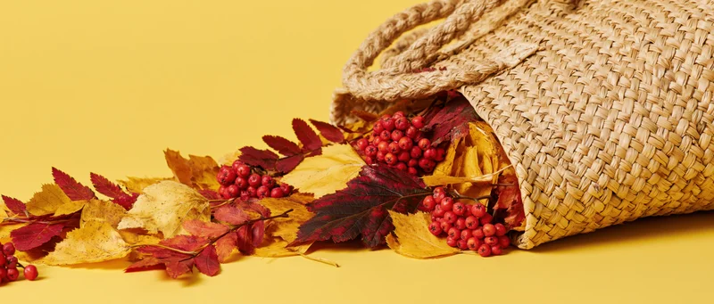 Woven straw tote bag tipped on its side spilling autumn leaves and red berries onto a yellow surface