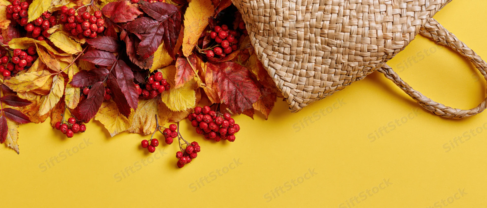 Woven straw tote bag tipped over spilling autumn leaves and red berries onto a yellow surface