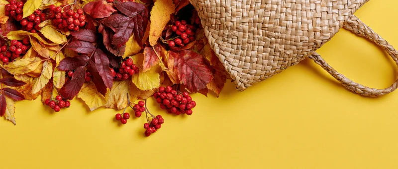 Woven straw tote bag tipped over spilling autumn leaves and red berries onto a yellow surface
