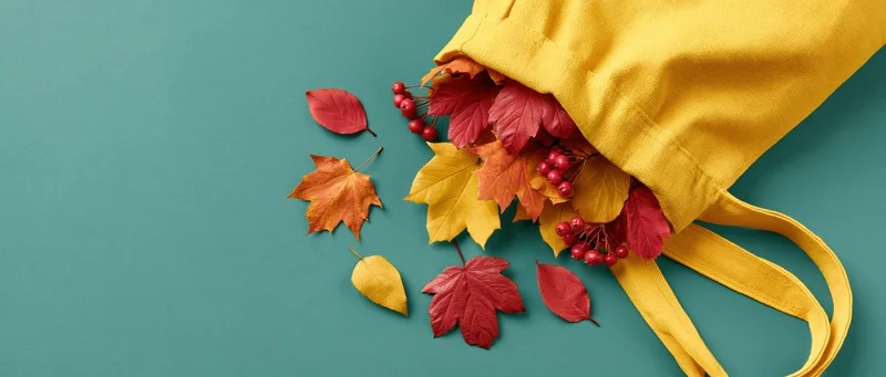 Yellow canvas tote bag spilling autumn leaves and red berries on teal surface