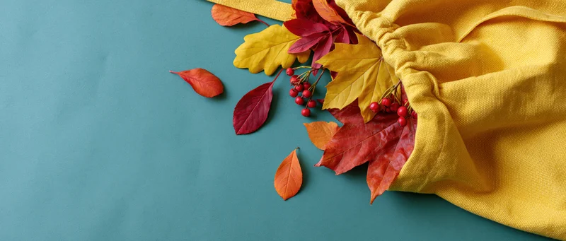 Yellow canvas tote bag spilling autumn leaves and red berries on teal surface