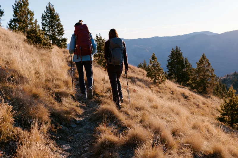 Two women hiking uphill on a sunlit autumn trail through grassy mountainside with pine trees