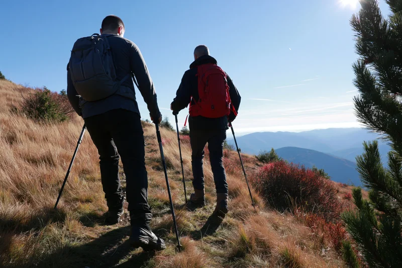 Two men hiking up a sunlit mountain slope with backpacks and trekking poles