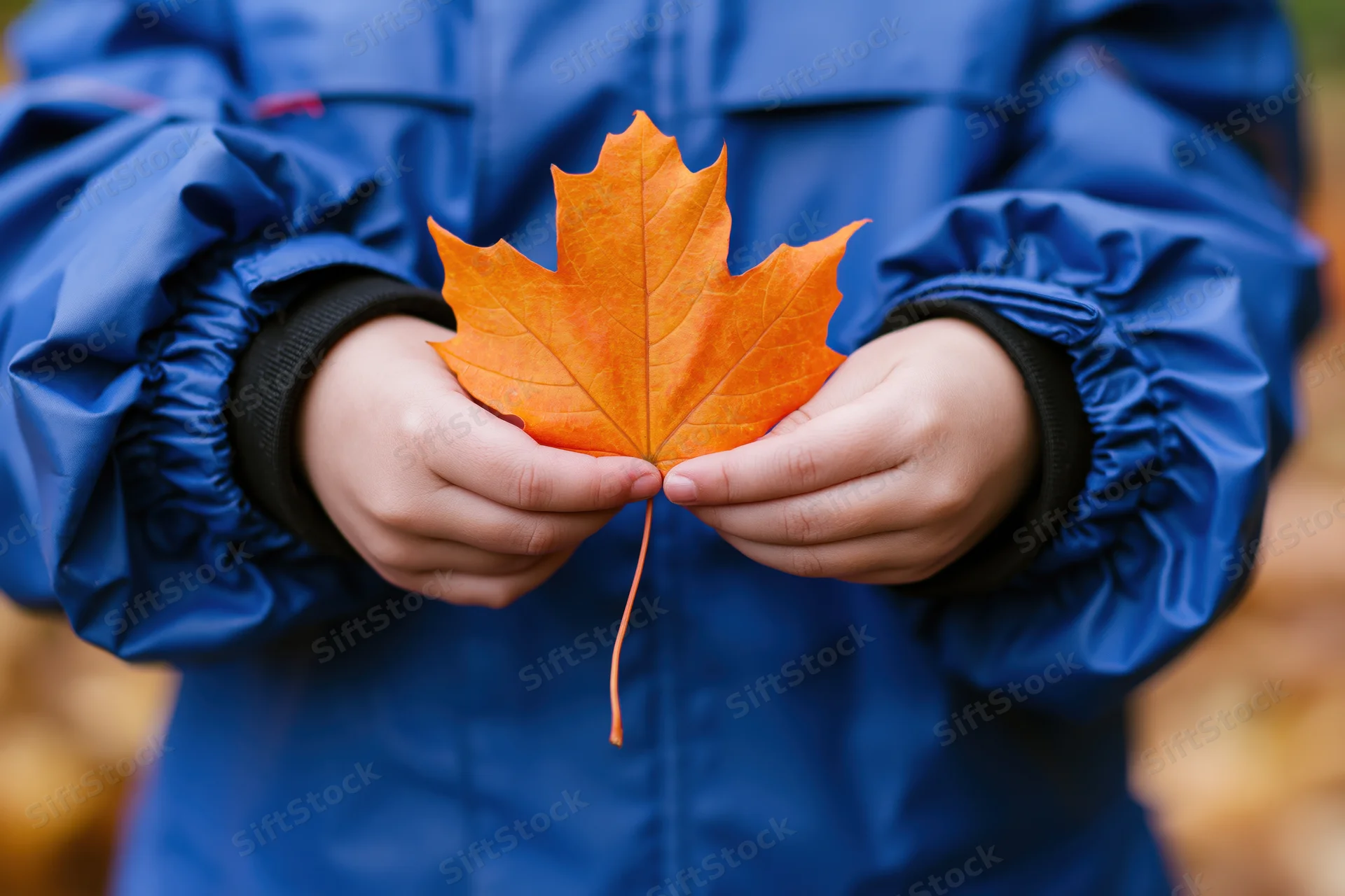 Child holding bright orange maple leaf in blue jacket outdoors in autumn