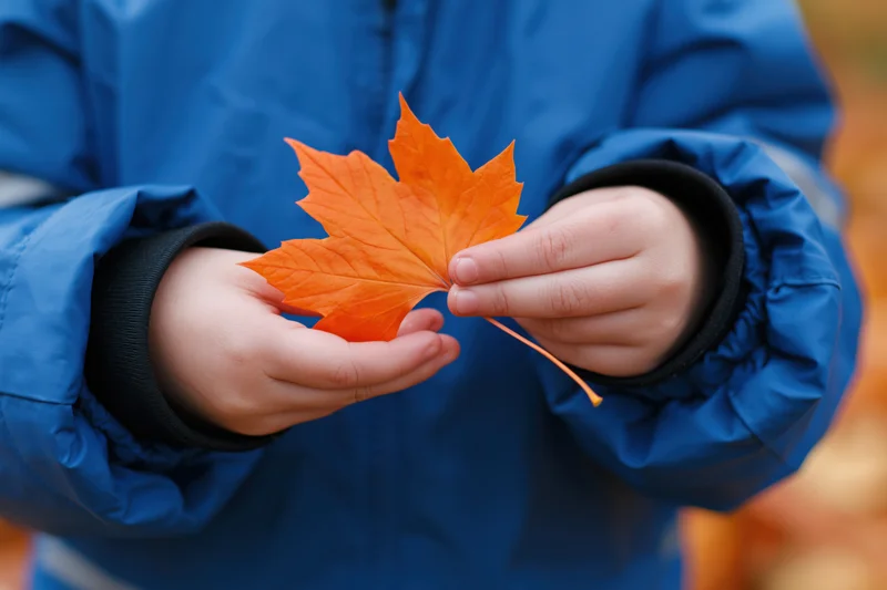 Child holding bright orange maple leaf in blue jacket outdoors in autumn