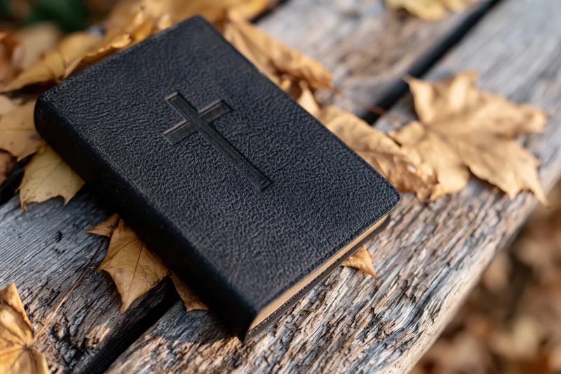 Black leather bible with embossed cross resting on weathered wooden bench surrounded by autumn leaves