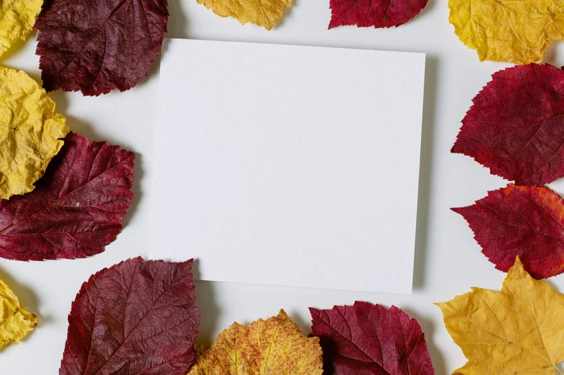 Blank white square card centered on a flat lay of autumn leaves