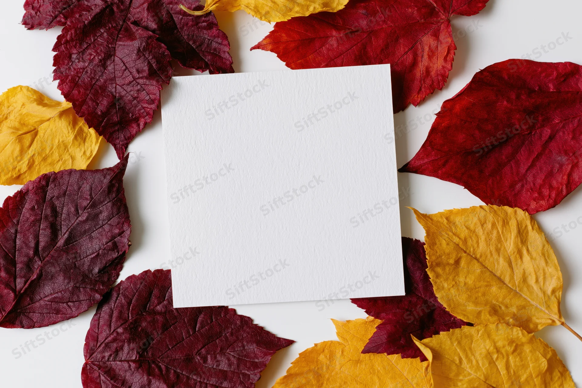 Blank white square card centered on a flat lay of red and yellow autumn leaves