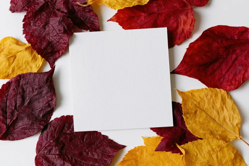 Blank white square card centered on a flat lay of red and yellow autumn leaves