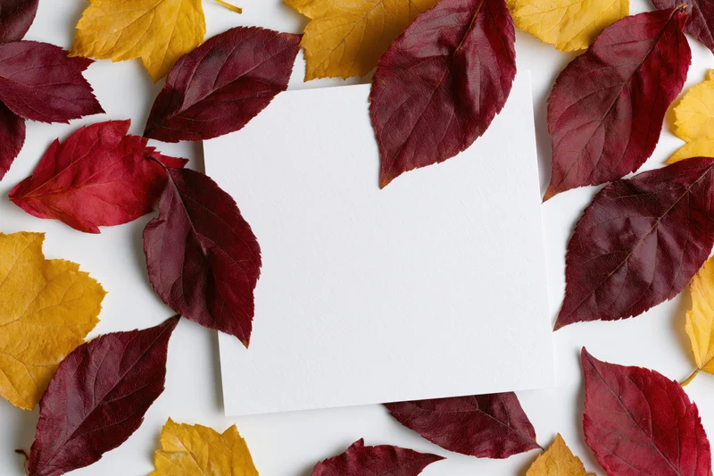 Blank white square card centered on a flat lay arrangement of red and yellow autumn leaves
