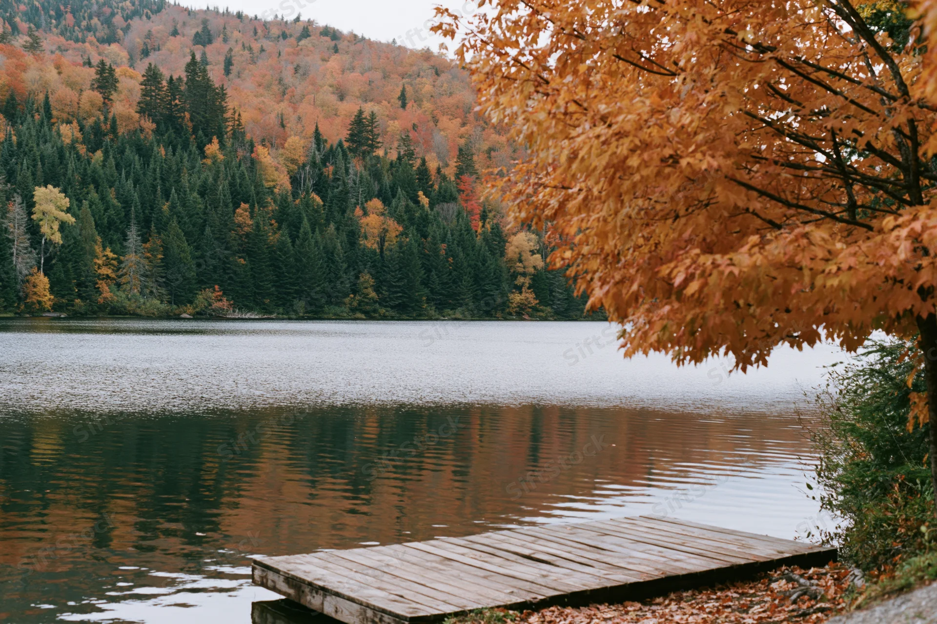 Calm mountain lake reflecting dense autumn forest with wooden dock extending into water