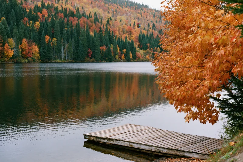 Calm mountain lake reflecting dense autumn forest with wooden dock extending into water