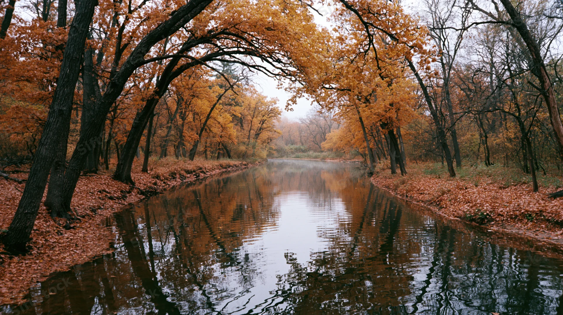Calm narrow river winding through dense autumn forest with orange foliage reflecting in water