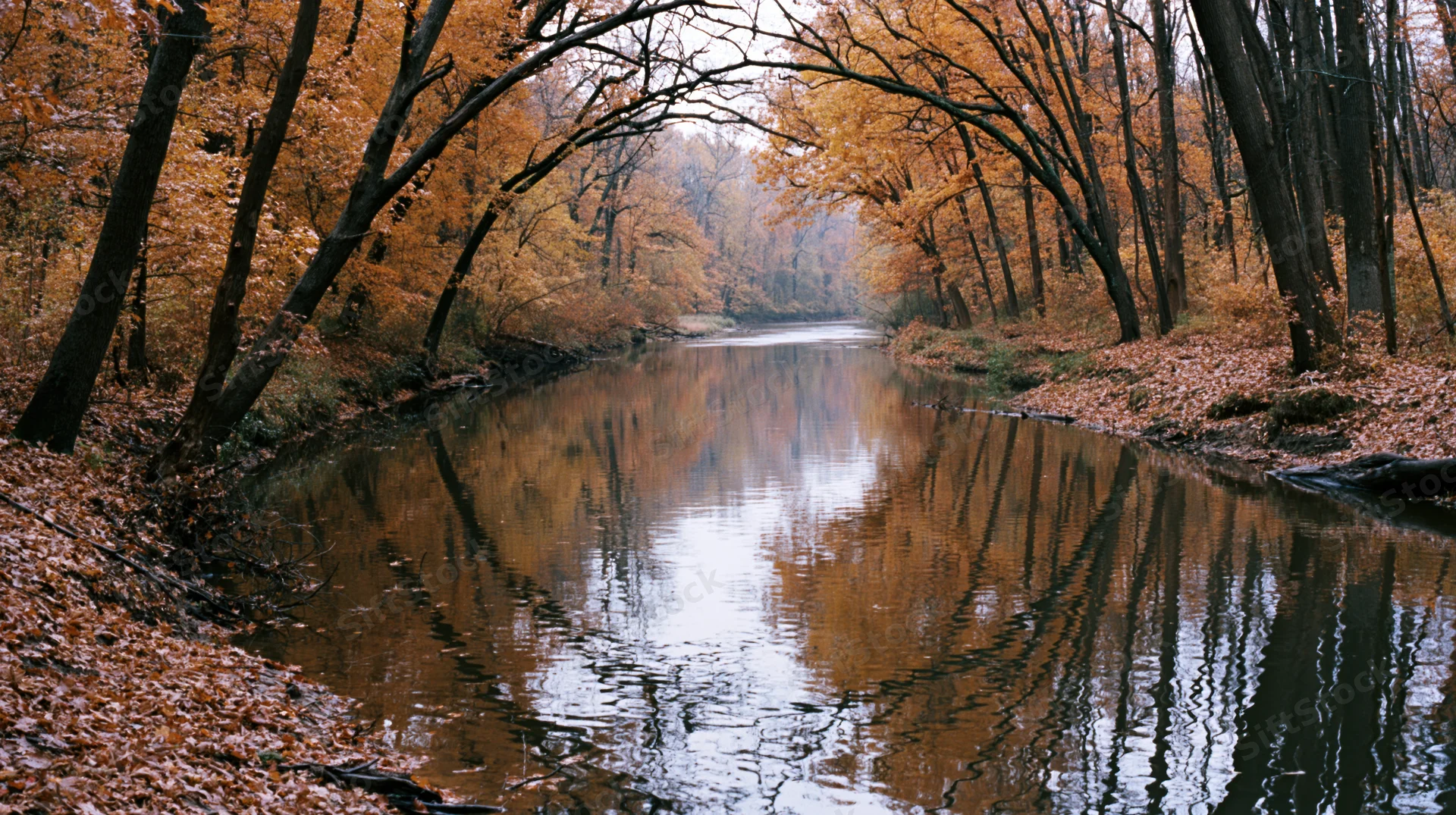 Calm river winding through dense autumn forest with trees arching overhead and reflections in still water