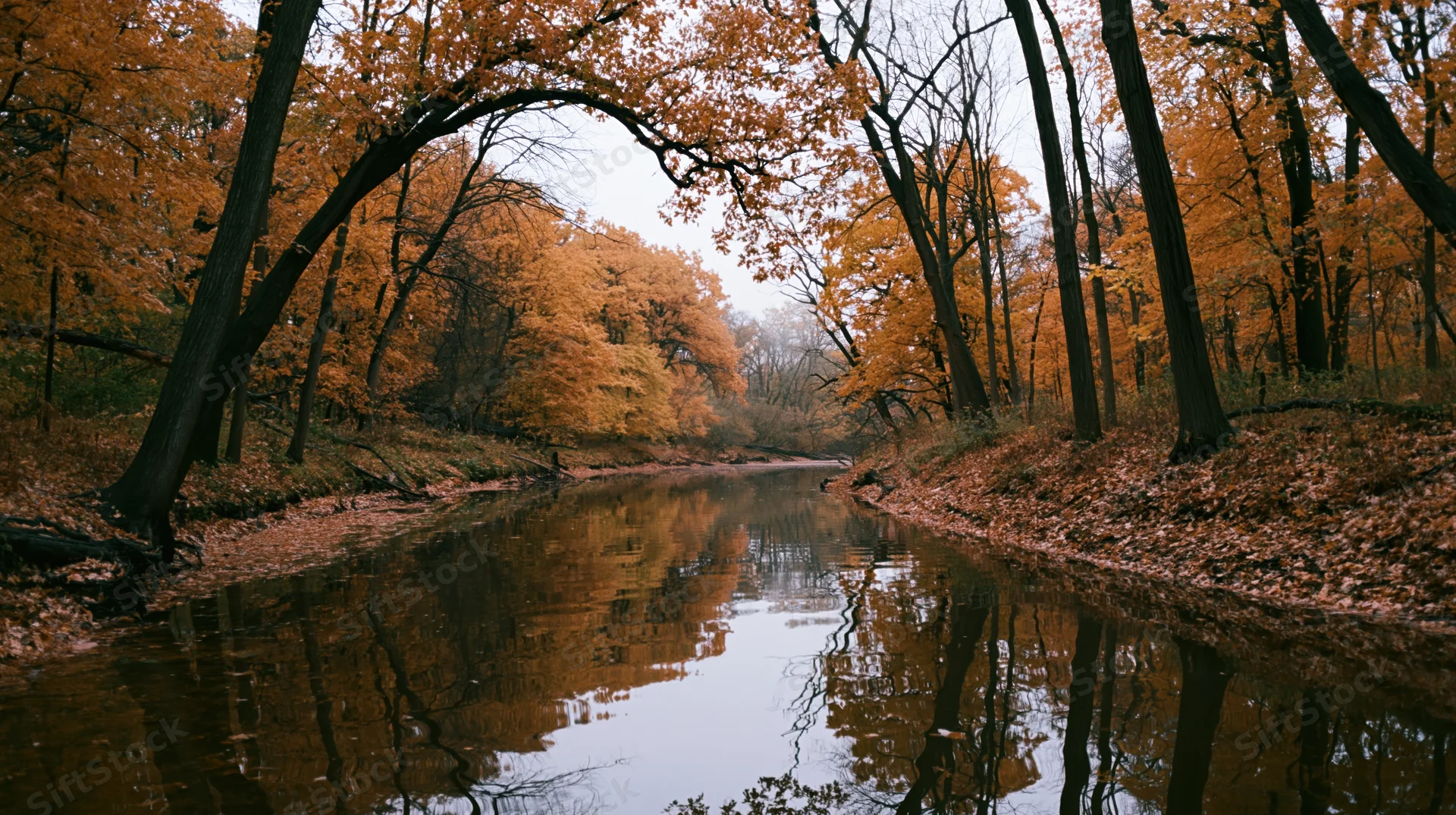 Calm narrow river winding through dense autumn forest with orange foliage reflecting in still water