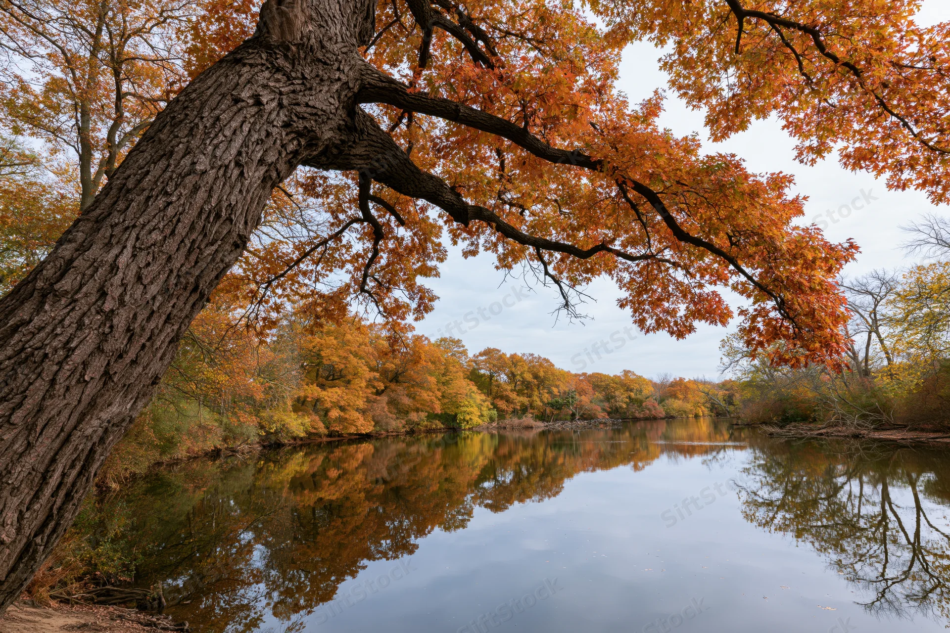 Calm river reflecting autumn trees along forested banks