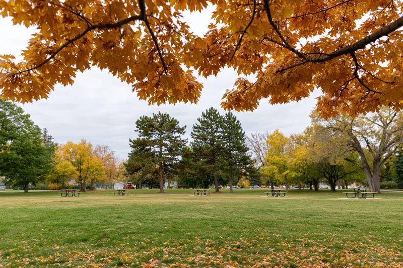 Autumn trees framing a wide empty lawn in a city park with picnic benches and scattered leaves