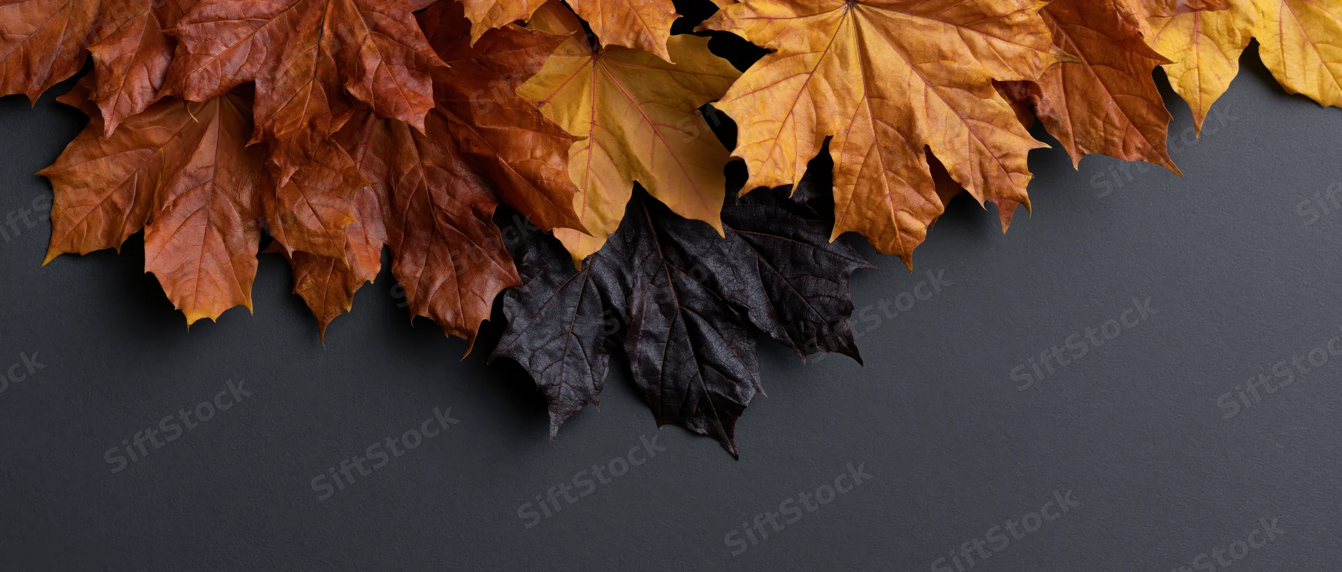 Autumn maple leaves arranged in upper left corner on dark surface with copyspace below