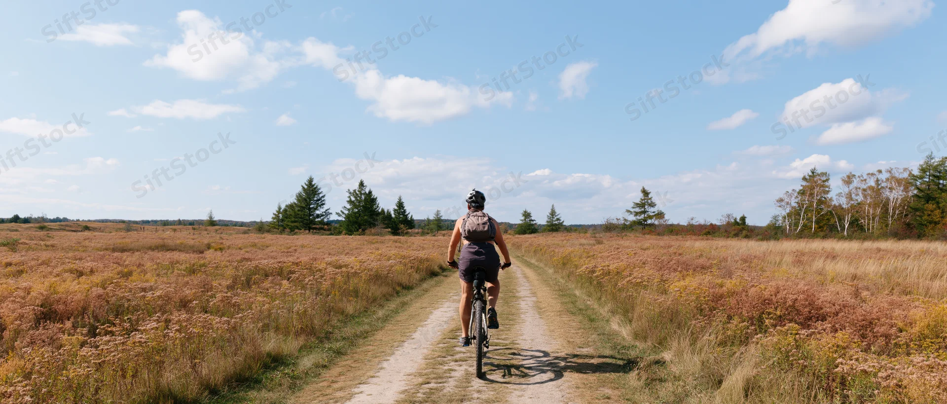 Woman riding bicycle away on dirt path through open field with wildflowers under blue sky