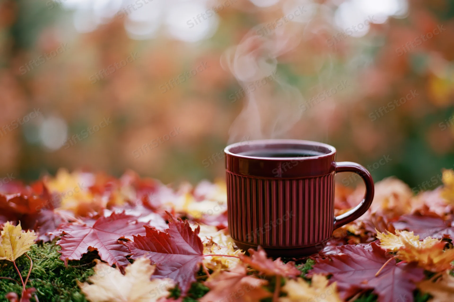 Dark red ribbed ceramic mug with steam rising, placed on autumn leaves and moss outdoors