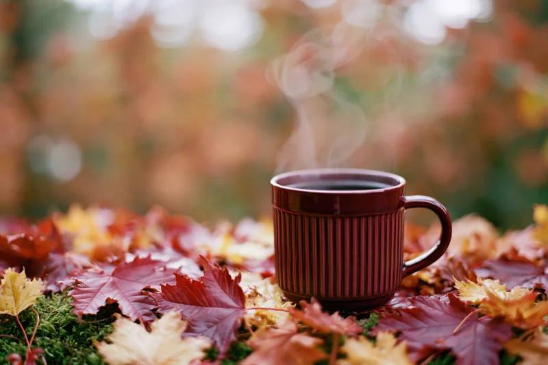 Dark red ribbed ceramic mug with steam rising, placed on autumn leaves and moss outdoors