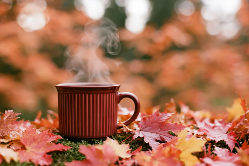 Steaming red ribbed ceramic mug resting on autumn leaves in a forest setting