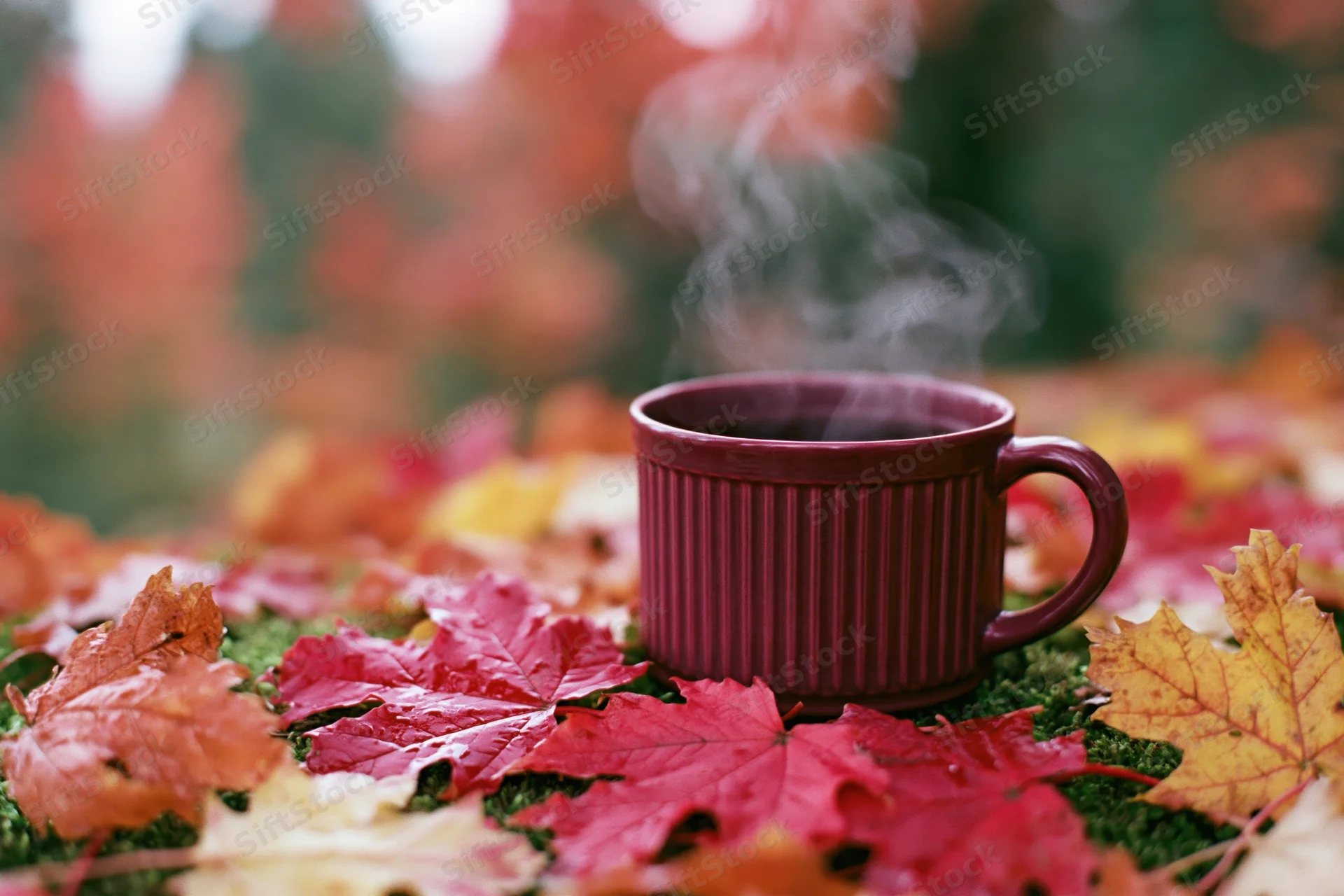 Dark red ribbed ceramic mug steaming on moss covered with colorful autumn maple leaves outdoors