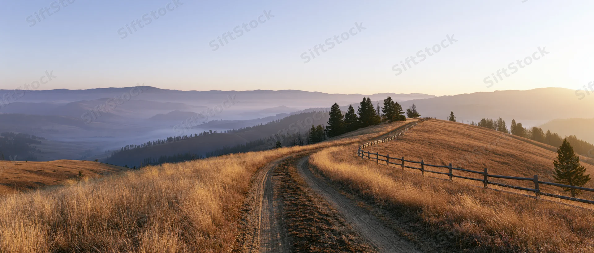 Winding dirt road through golden meadow grass on rolling hills at sunset