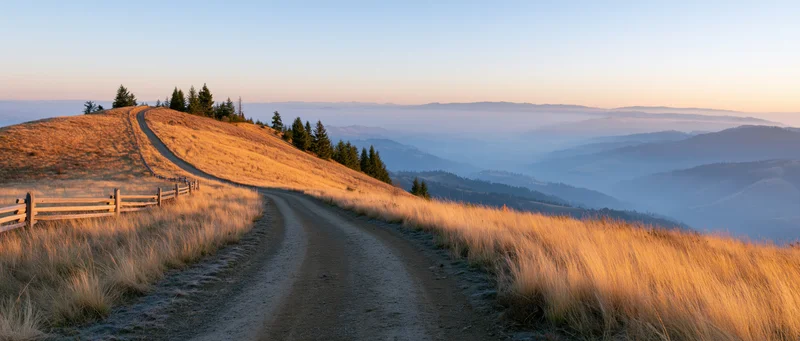 Winding dirt road through golden meadow grass on a hillside at sunset
