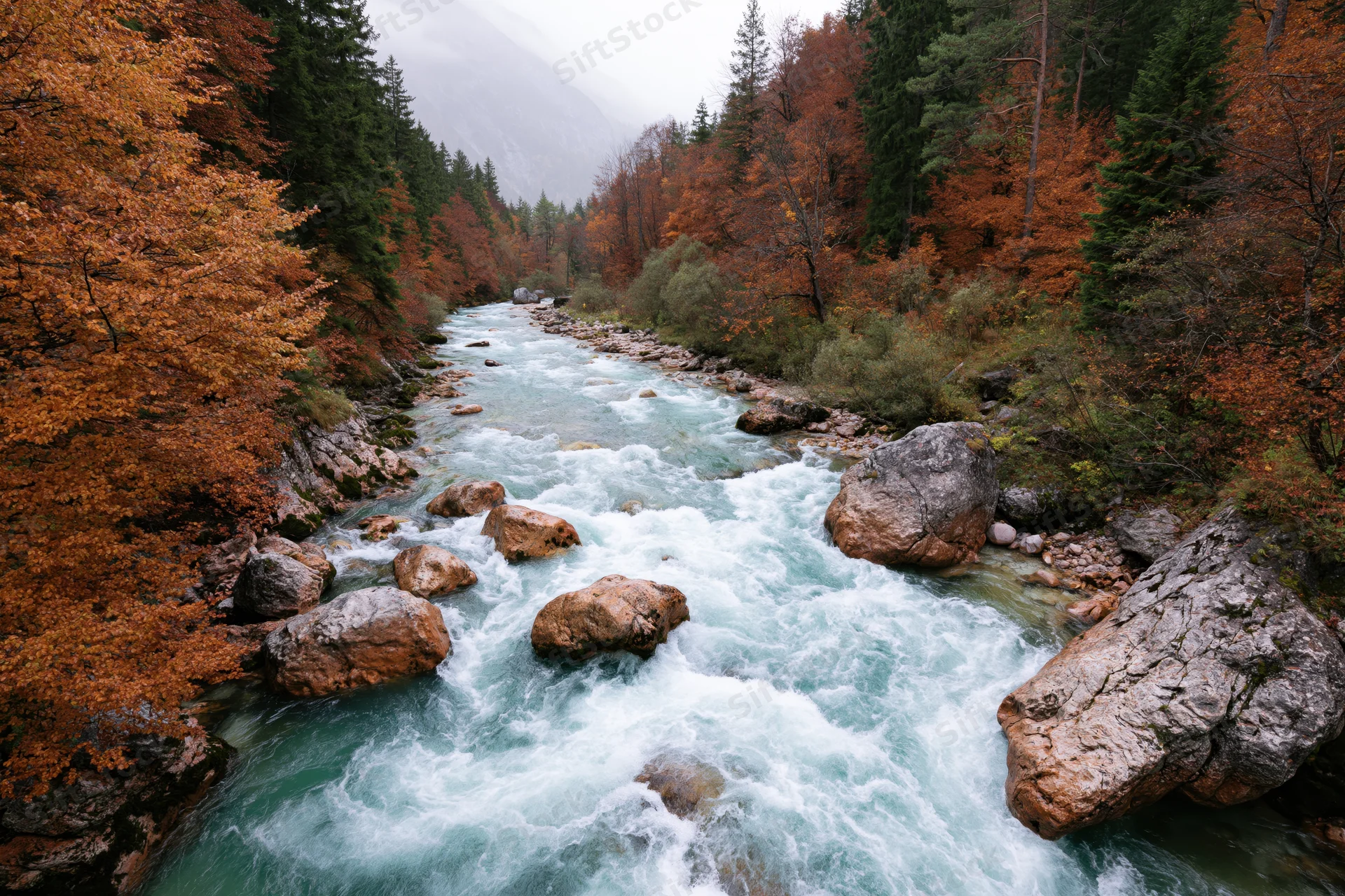Glacial turquoise river rushing over rounded boulders through autumn forested canyon