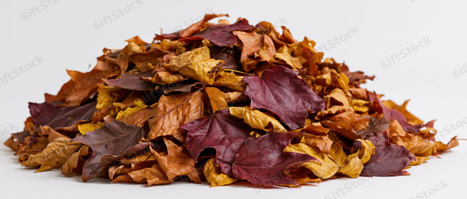 A mound of dried autumn leaves piled low on a white surface